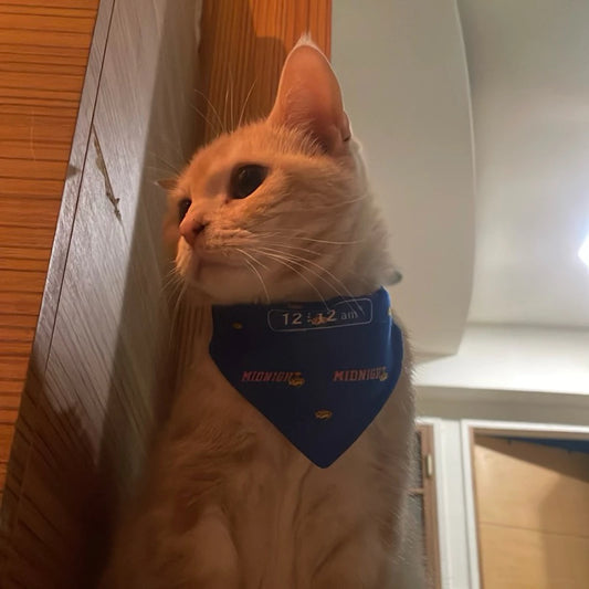 【12:12am】Favorite Mouth Water Ryorin