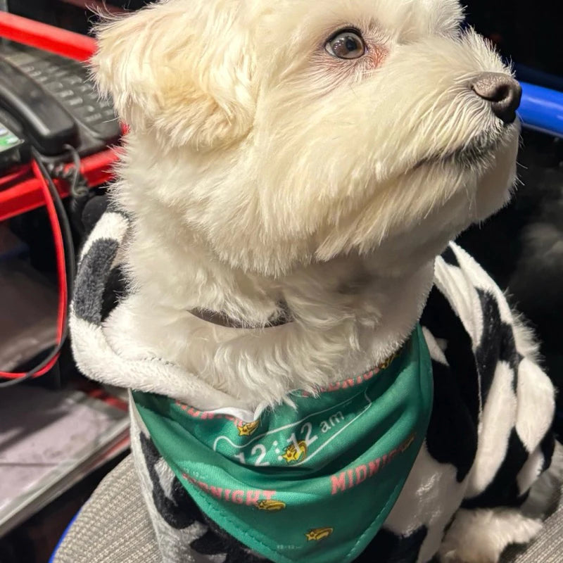 【12:12am】Favorite Mouth Water Ryorin