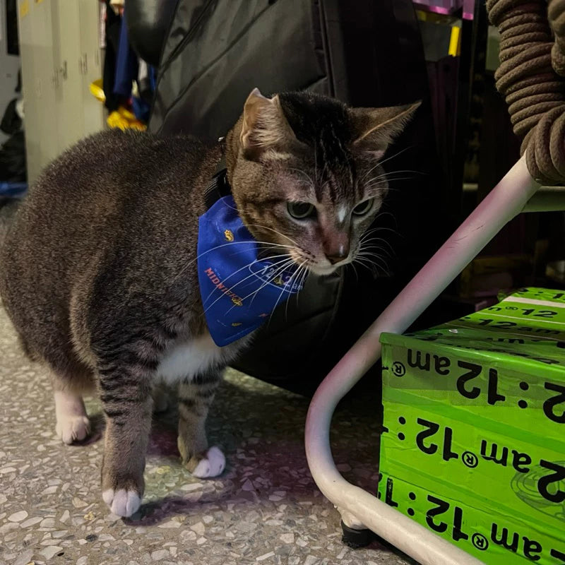 【12:12am】Favorite Mouth Water Ryorin