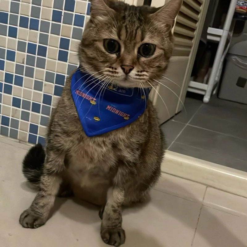 【12:12am】Favorite Mouth Water Ryorin